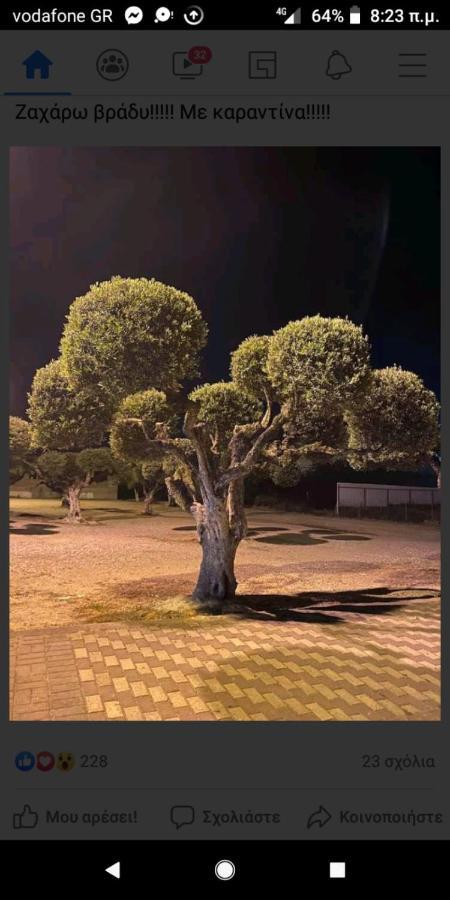 Hotel Διεθνές Zaharo Dış mekan fotoğraf